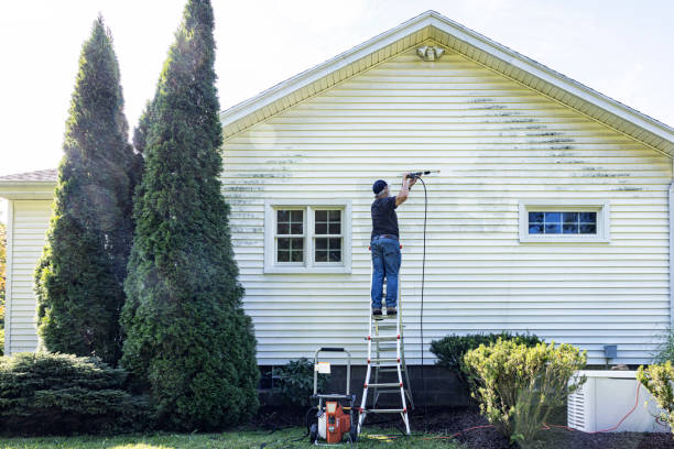Best Gutter Cleaning  in Crossville, AL